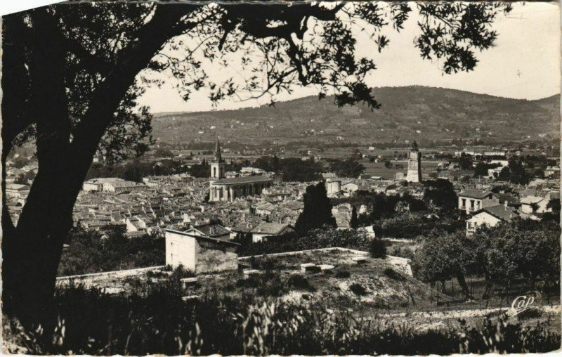 Carte postale ancienne Draguignan Vue a travers les Oliviers France à Draguignan