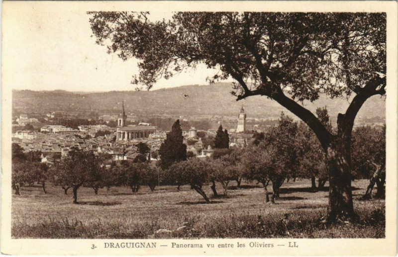 Carte postale ancienne Draguignan Panorama vu entre les Oliviers France à Draguignan