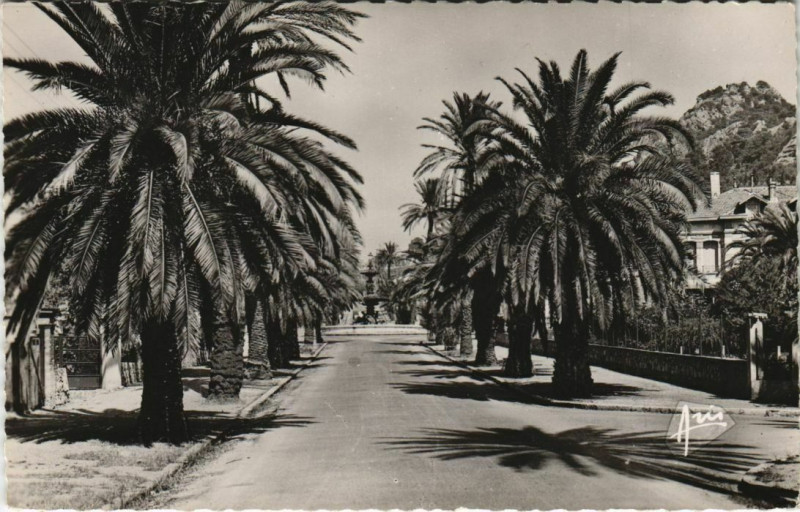 Carte postale ancienne Hyeres Avenue Godillot France à Hyères