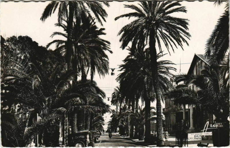 Carte postale ancienne Hyeres Avenue de Belgique France à Hyères