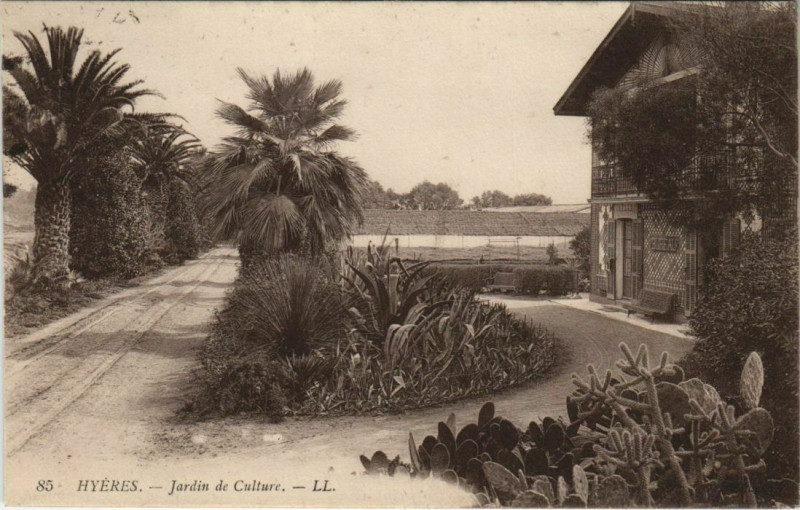 Carte postale ancienne Hyeres Jardin de Culture France à Hyères