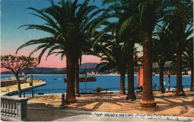 Carte postale ancienne Ste Maxime Place des Palmiers France