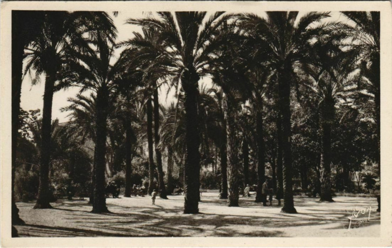 Carte postale ancienne Hyeres Jardin Alphonse Denis France à Hyères