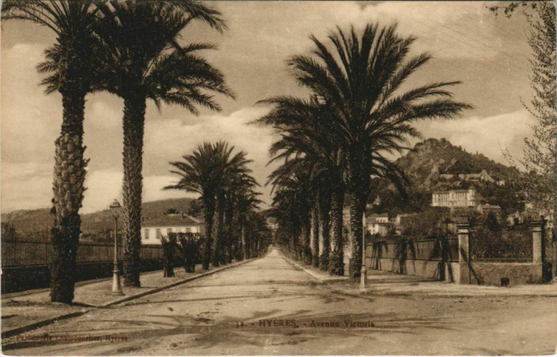 Carte postale ancienne Hyeres Avenue Victoria France à Hyères
