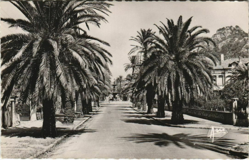 Carte postale ancienne Hyeres Avenue Godillot France à Hyères