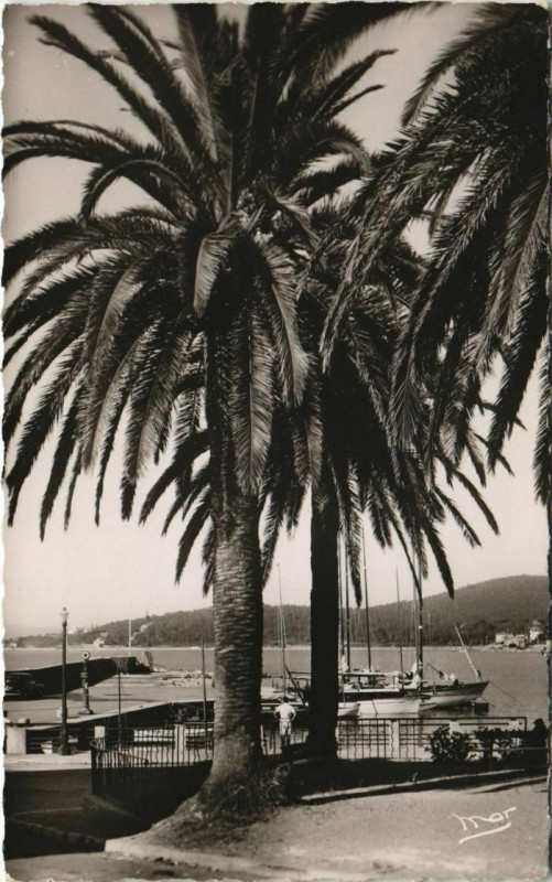 Carte postale ancienne Ste Maxime Vue prise de la Place des Palmiers France