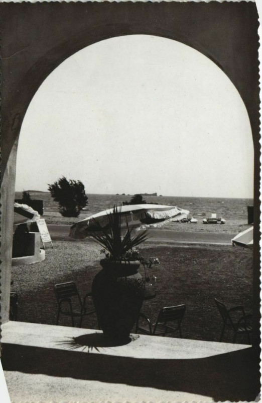 Carte postale ancienne Frejus Le Lion de Terre et le Lion de Mer France à Fréjus