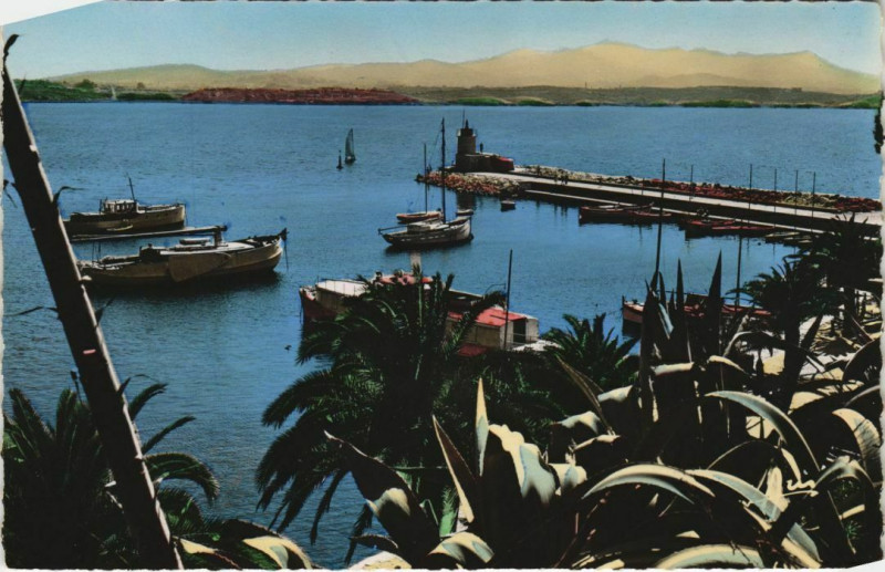 Carte postale ancienne Sanary-sur-Mer Un Coin du Port et la Jetee France à Sanary-sur-Mer