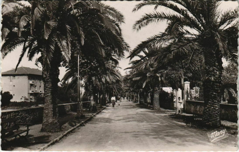 Carte postale ancienne Sanary-sur-Mer Avenue du Port-Issol France à Sanary-sur-Mer