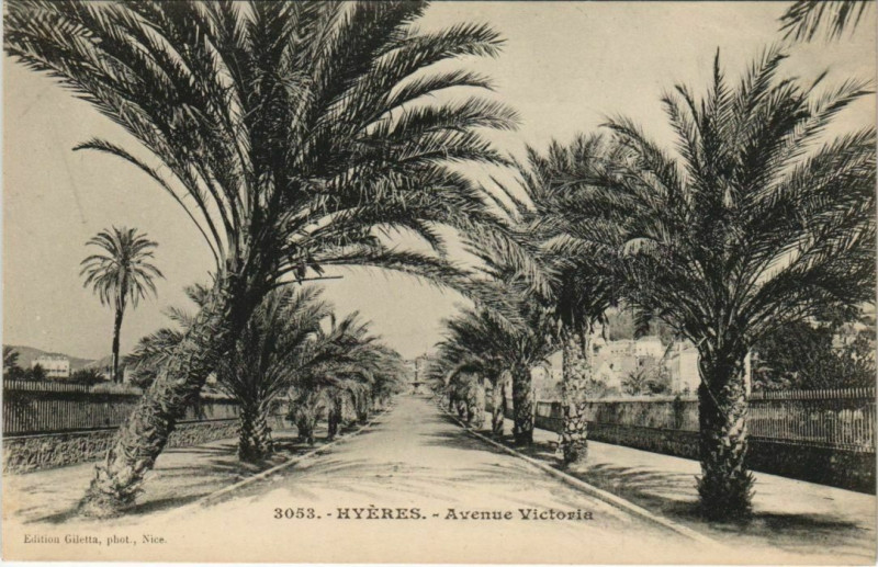 Carte postale ancienne Hyeres Avenue Victoria France à Hyères