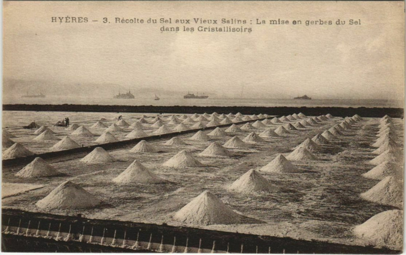 Carte postale ancienne Hyeres Recolte du Sel aux Vieux Salins France à Hyères