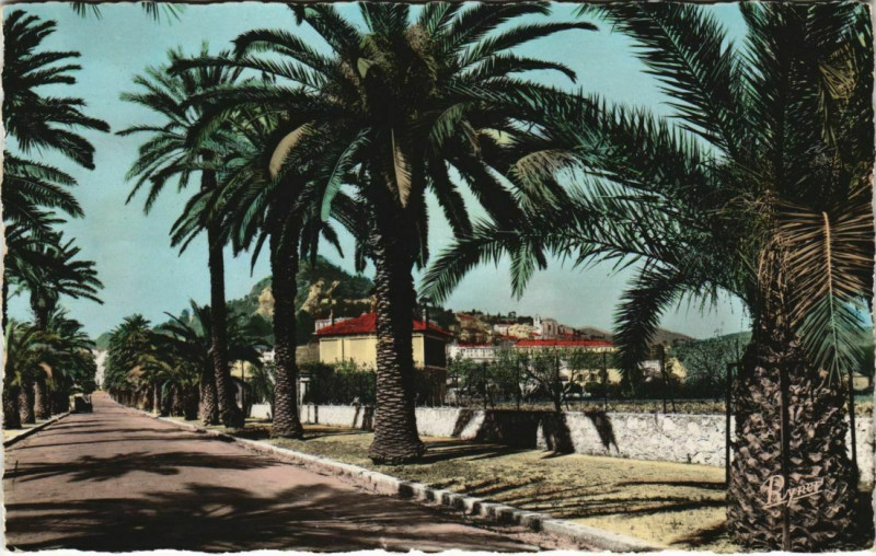 Carte postale ancienne Hyeres Perspective s la Ville France à Hyères