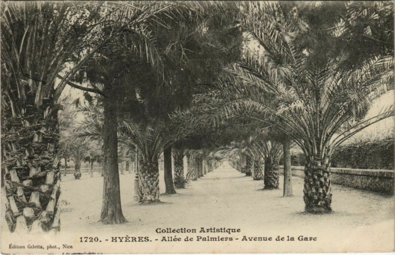 Carte postale ancienne Hyeres Avenue de la Gare France à Hyères