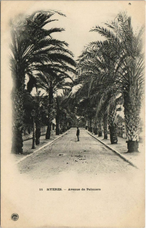 Carte postale ancienne Hyeres Avenue de Palmiers France à Hyères