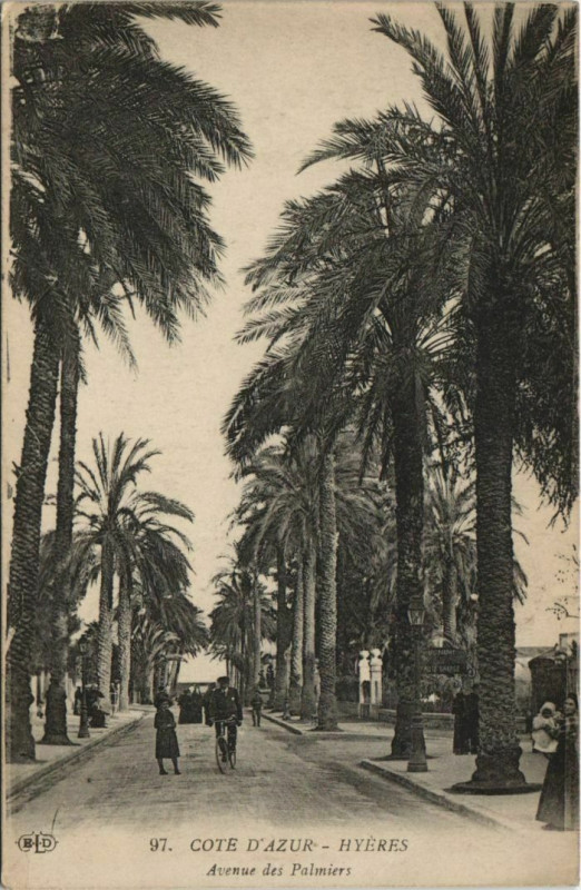 Carte postale ancienne Hyeres Avenue des Palmiers France à Hyères