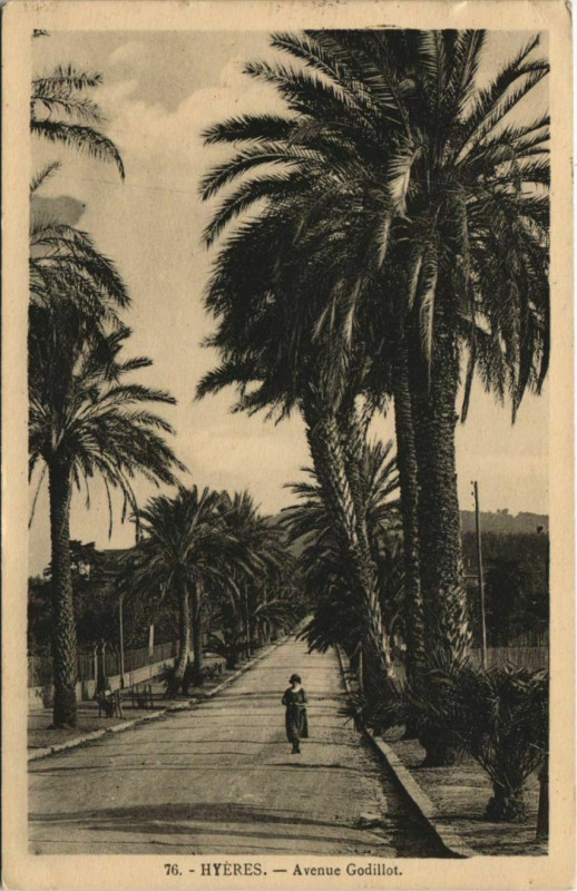 Carte postale ancienne Hyeres Avenue Godillot France à Hyères