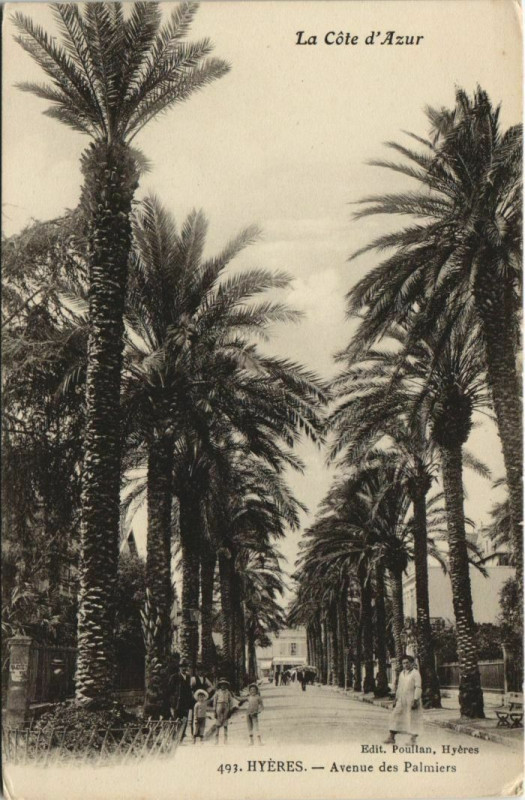 Carte postale ancienne Hyeres Avenue des Palmiers France à Hyères