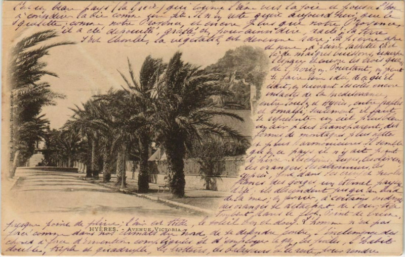 Carte postale ancienne Hyeres Avenue Victoria France à Hyères
