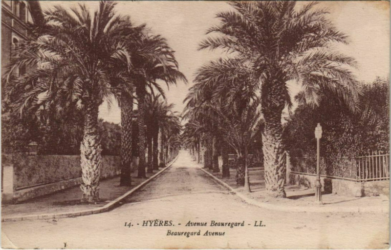 Carte postale ancienne Hyeres Avenue Beauregard France à Hyères