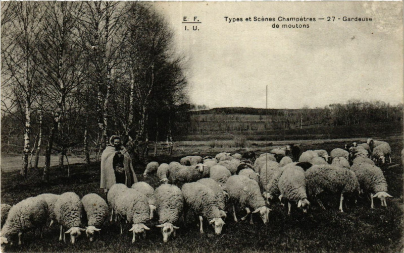 Carte postale ancienne Types et Scenes champetres - Gardeuse de moutons