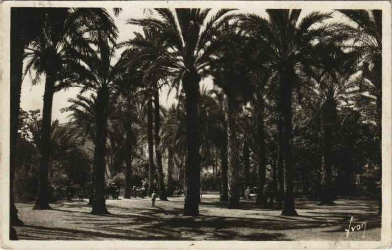 Carte postale ancienne Hyeres Jardin Alphonse-Denis France à Hyères