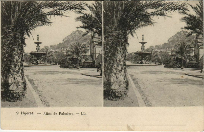 Carte postale ancienne Hyeres Allee de Palmiers France à Hyères