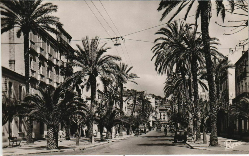 Carte postale ancienne Hyeres Avenue Gambetta France à Hyères