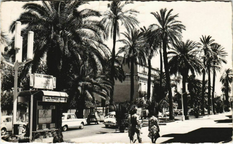Carte postale ancienne Hyeres Ses Belles Avenues France à Hyères