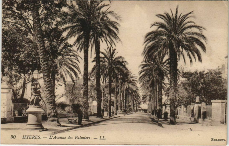 Carte postale ancienne Hyeres L'Avenue des Palmiers France à Hyères