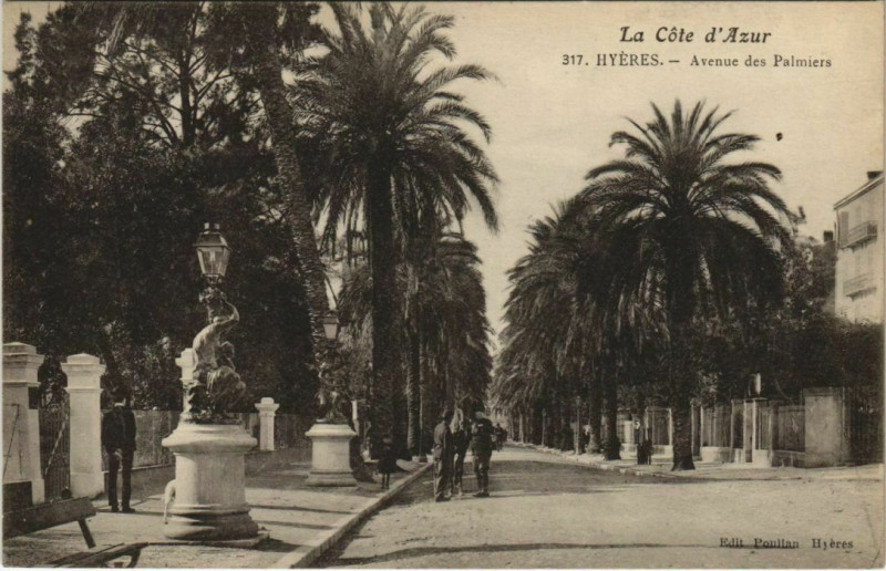 Carte postale ancienne Hyeres Avenue des Palmiers France à Hyères