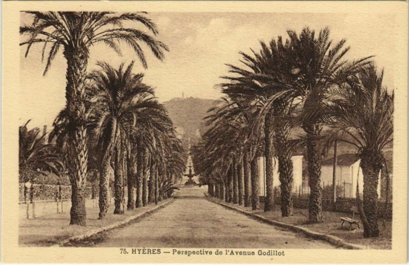 Carte postale ancienne Hyeres Perspective de l'Avenue Godillot France à Hyères