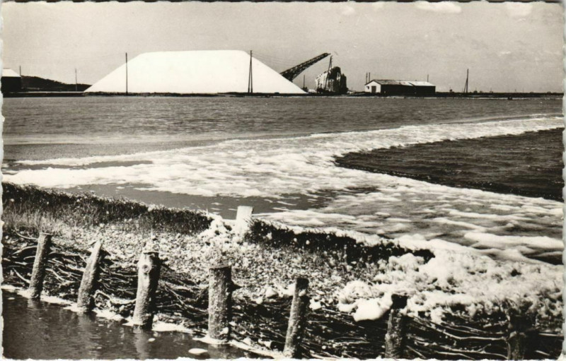 Carte postale ancienne Hyeres Les Marais salants France à Hyères