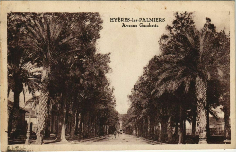 Carte postale ancienne Hyeres Avenue Gambetta France à Hyères