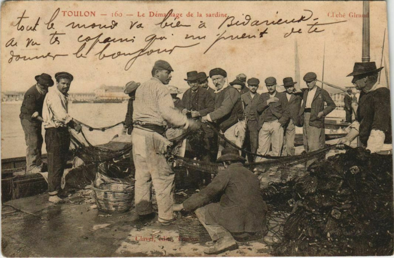 Carte postale ancienne Toulon Le Demarllage de la Sardine à Toulon