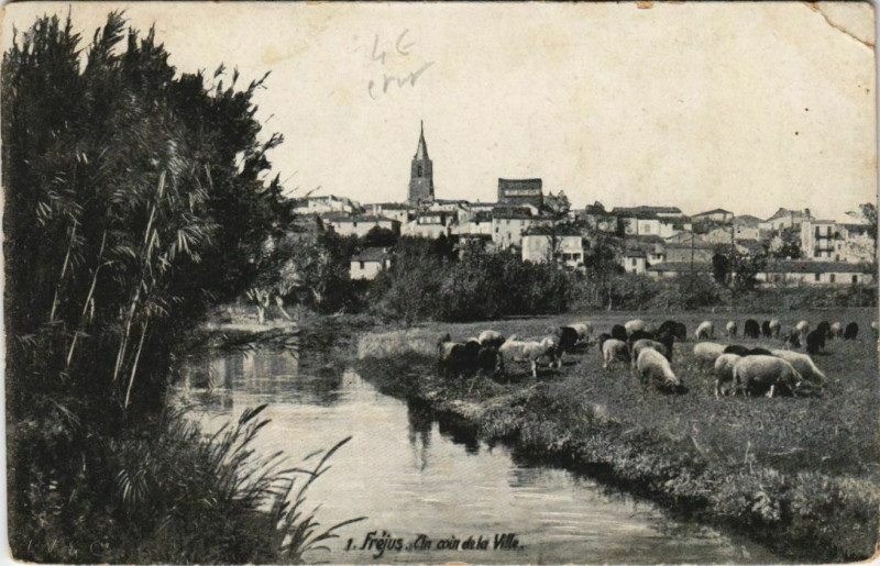 Carte postale ancienne Frejus Un Coin de la Ville à Fréjus
