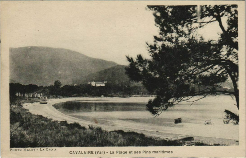 Carte postale ancienne Cavalaire-sur-Mer La Plage et ses Pins Maritimes à Cavalaire-sur-Mer