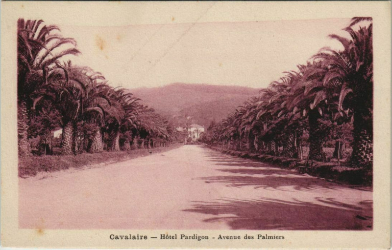 Carte postale ancienne Cavalaire-sur-Mer Hotel Pardigon - Avenue des Palmiers à Cavalaire-sur-Mer