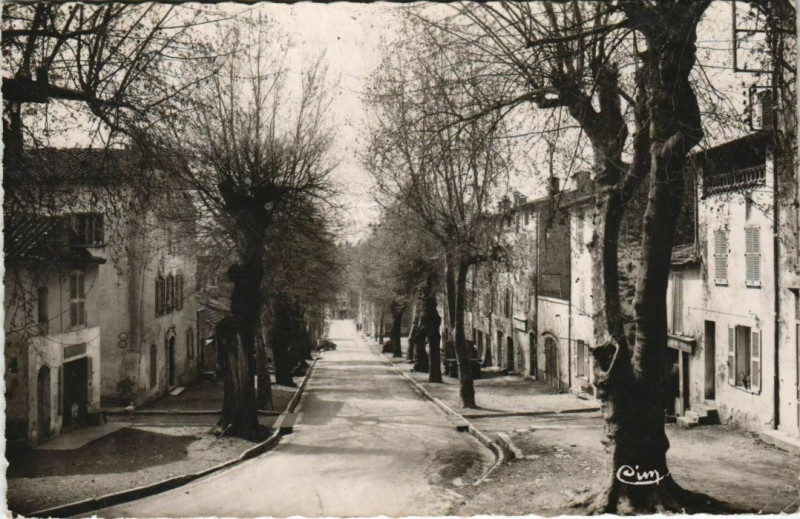 Carte postale ancienne Lorgues Avenue Allongues à Lorgues