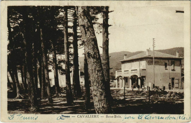 Carte postale ancienne Cavalaire-sur-Mer Sous-Bois à Cavalaire-sur-Mer