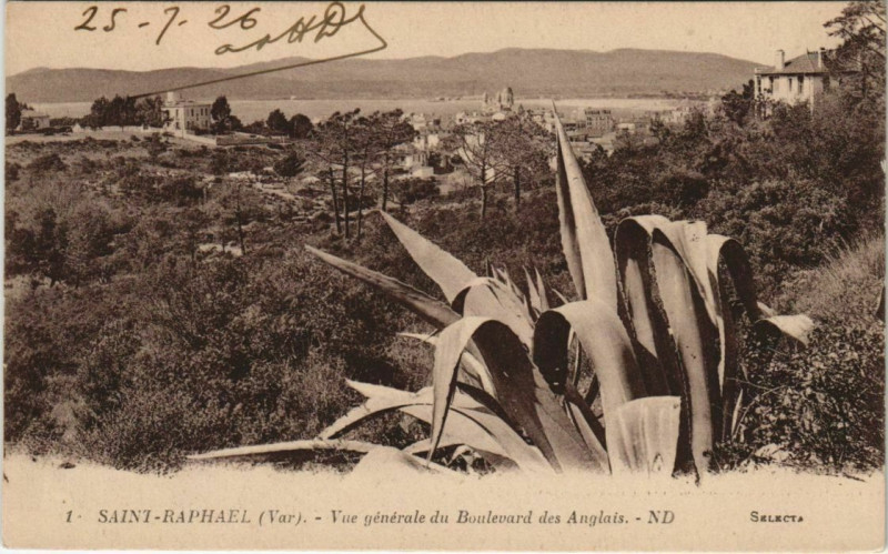 Carte postale ancienne Saint-Raphael Vue Generale du Boulevard des Anglais à Saint-Raphaël