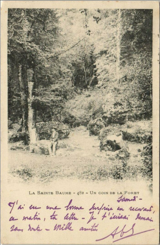 Carte postale ancienne Saint-Maximin-la-Sainte-Baume Un Coin de la Foret à Saint-Maximin-la-Sainte-Baume