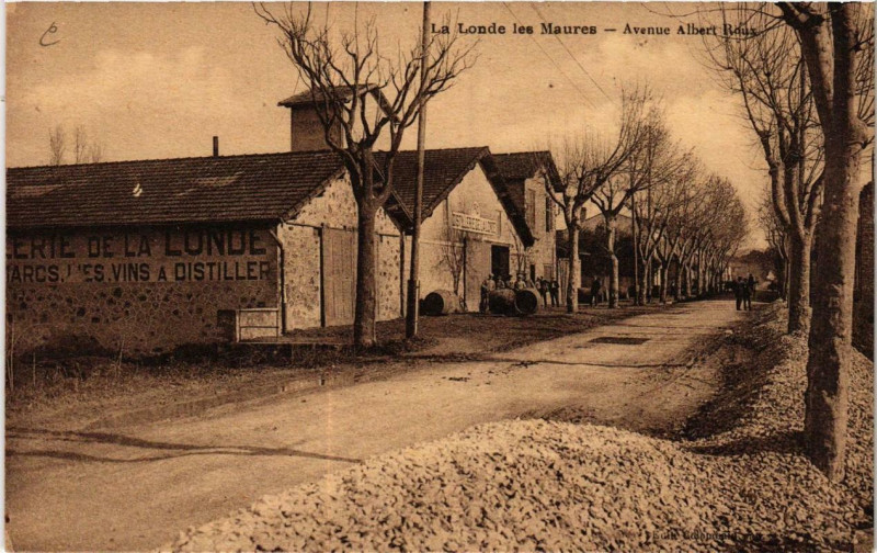 Carte postale ancienne La Londe-les-Maures Avenue Albert Roux à La Londe-les-Maures