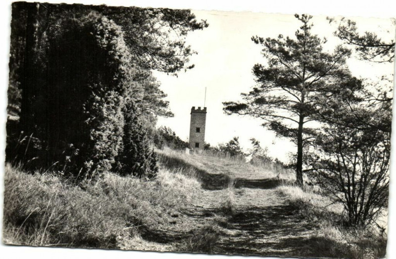 Carte postale ancienne Boissy La Riviere-La Tour de l'Auberge à Boissy-la-Rivière