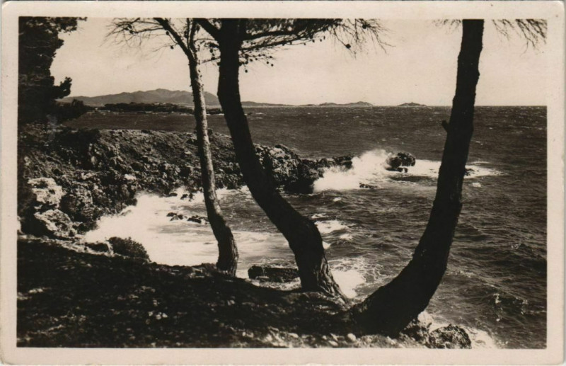 Carte postale ancienne Bandol Bord de Mer et Ile de Bandol à Bandol