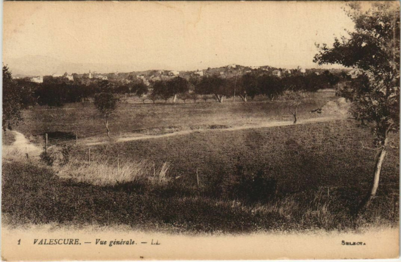 Carte postale ancienne Saint-Raphael Valescure - Vue Generale à Saint-Raphaël