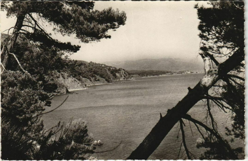 Carte postale ancienne La Seyne-sur-Mer Littoral Seynois - Panorama à La Seyne-sur-Mer