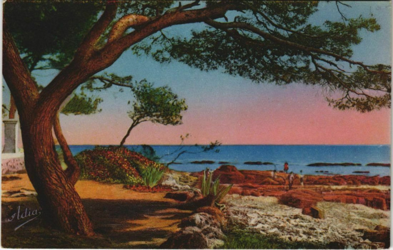 Carte postale ancienne Boulouris La Plage et les Pins Maritimes
