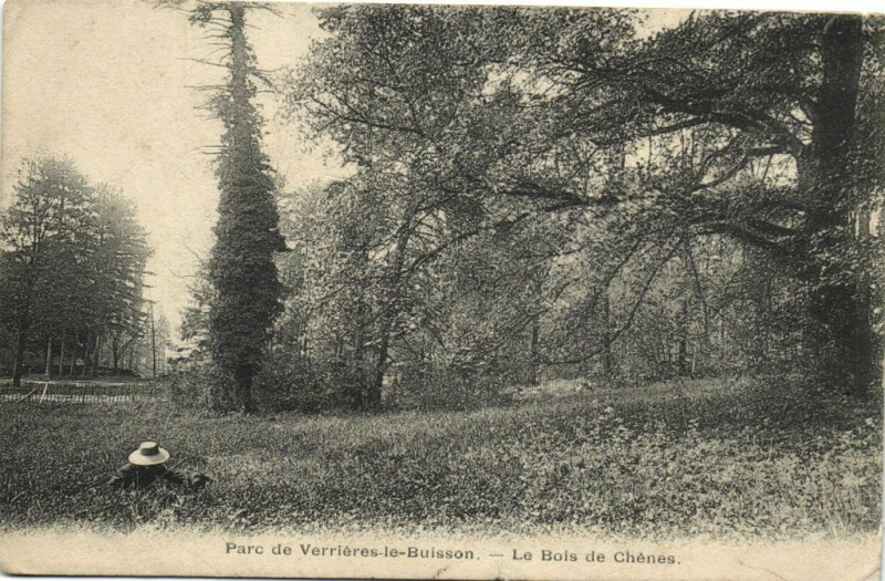 Carte postale ancienne Parc de Verriéres le Buisson-Le Bois de Chénes