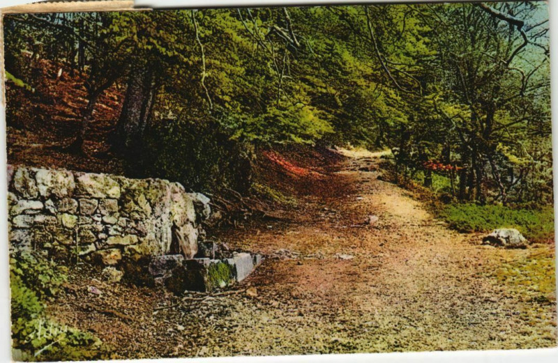 Carte postale ancienne Saint-Maximin-la-Sainte-Baume La Fontaine de Nans à Saint-Maximin-la-Sainte-Baume