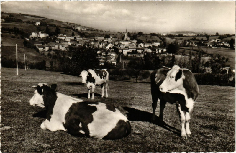 Carte postale ancienne Savigny - Vue générale à Savigny